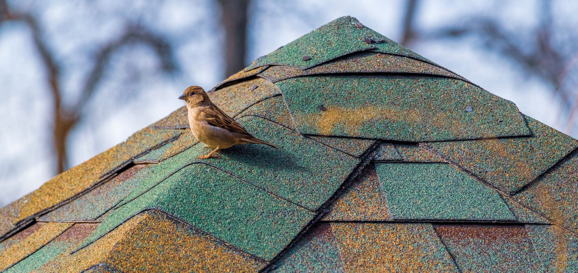 Inspections — Roofing Services Now